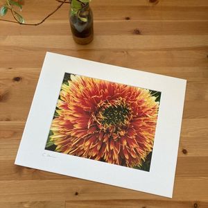 New Original Signed Photography Color Flower